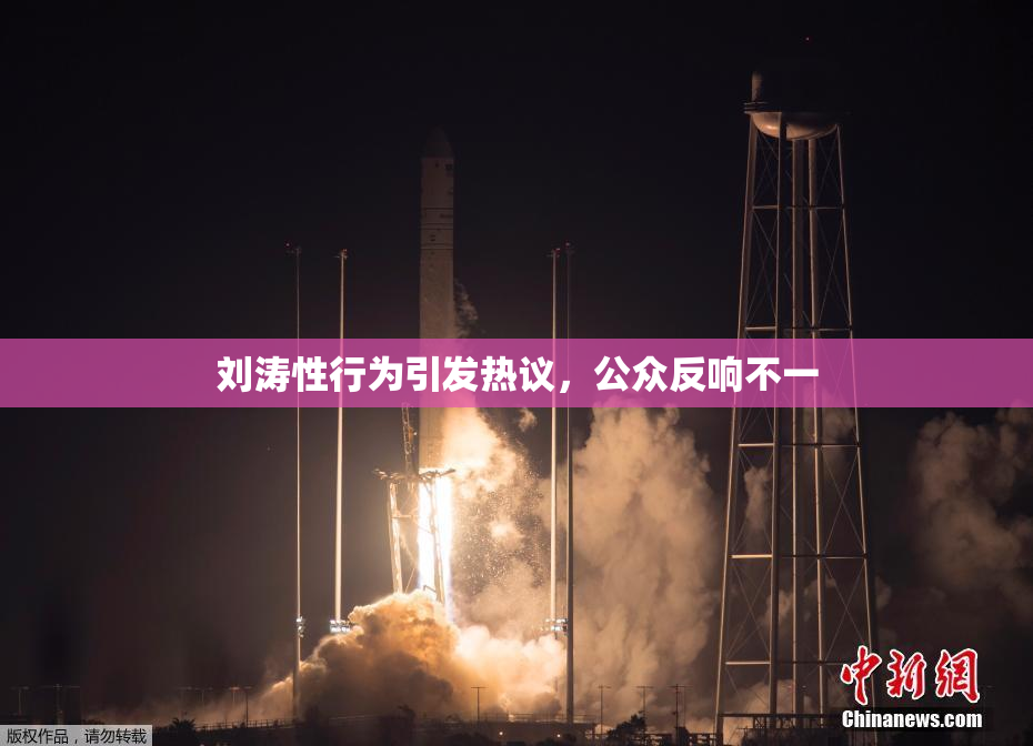 刘涛性行为引发热议，公众反响不一
