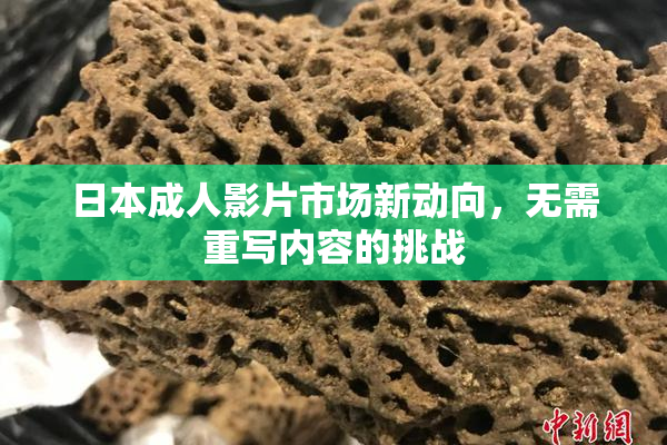 日本成人影片市场新动向，无需重写内容的挑战