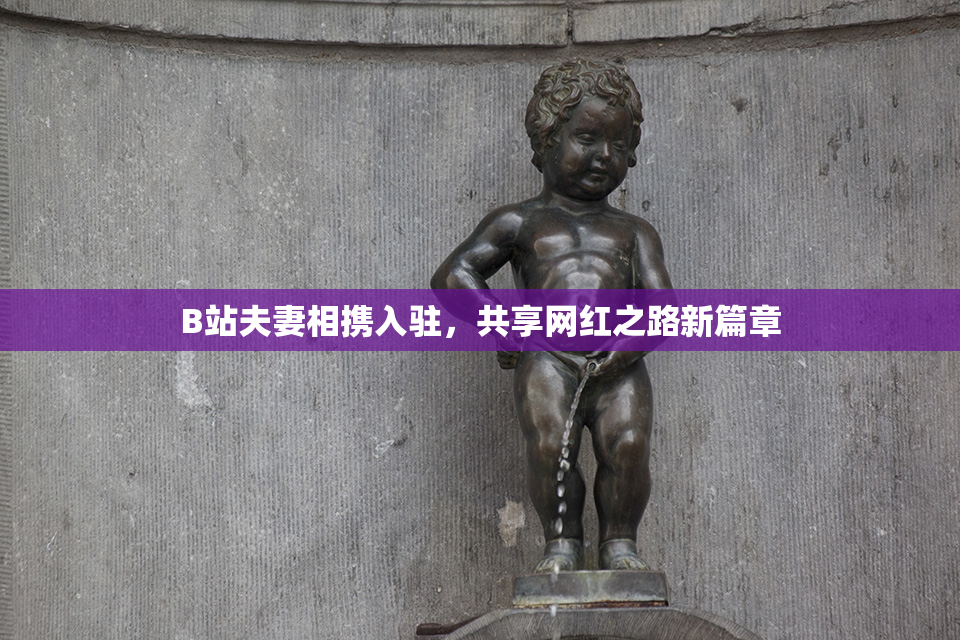 B站夫妻相携入驻，共享网红之路新篇章