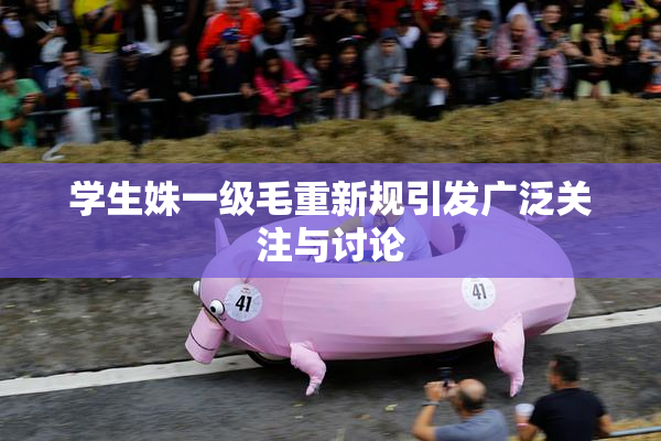 学生姝一级毛重新规引发广泛关注与讨论