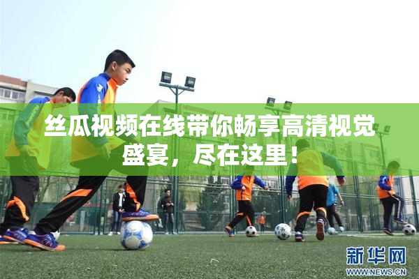 丝瓜视频在线带你畅享高清视觉盛宴，尽在这里！