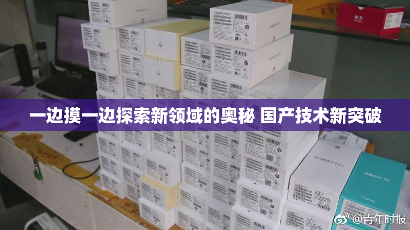 一边摸一边探索新领域的奥秘 国产技术新突破