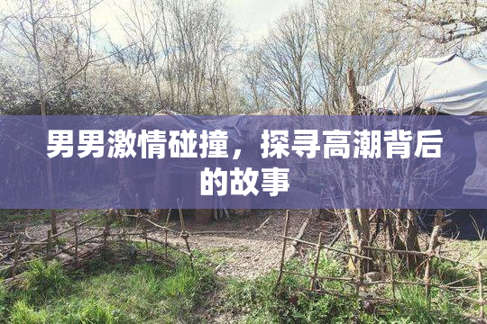 男男激情碰撞，探寻高潮背后的故事
