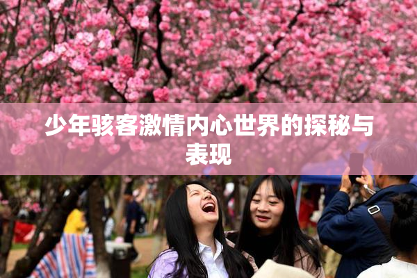 少年骇客激情内心世界的探秘与表现