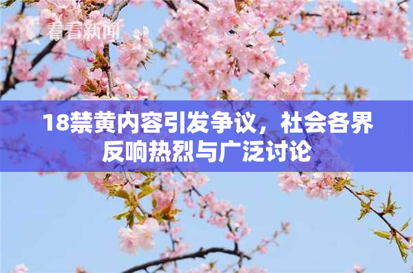 18禁黄内容引发争议，社会各界反响热烈与广泛讨论
