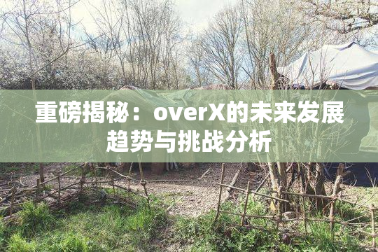 重磅揭秘：overX的未来发展趋势与挑战分析