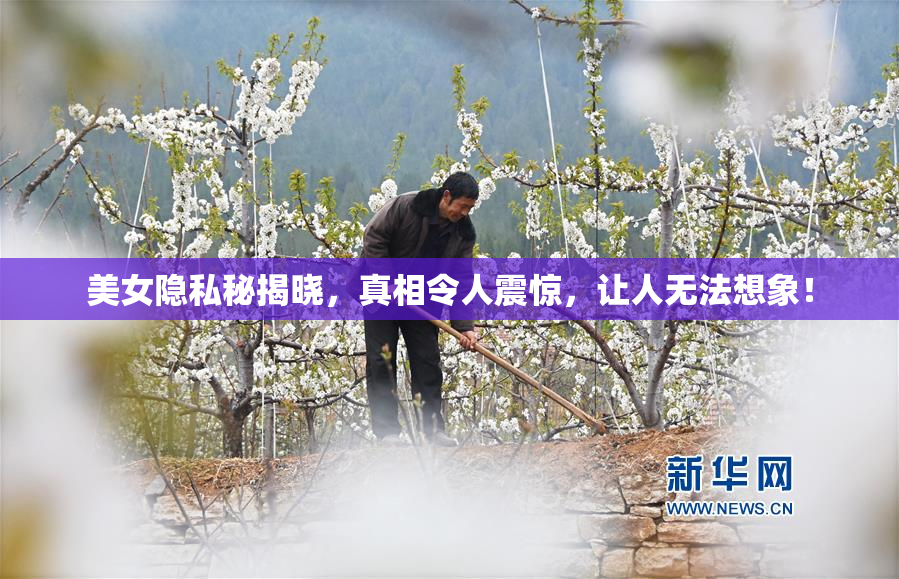 美女隐私秘揭晓，真相令人震惊，让人无法想象！