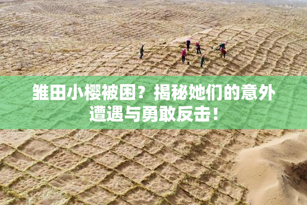 雏田小樱被困？揭秘她们的意外遭遇与勇敢反击！