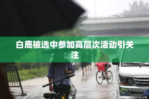 白鹿被选中参加高层次活动引关注