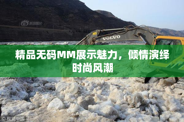 精品无码MM展示魅力，倾情演绎时尚风潮