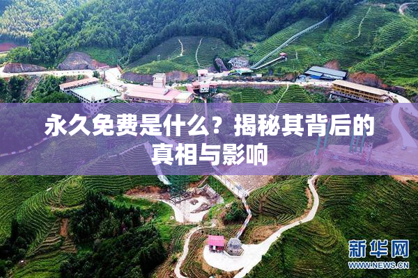 永久免费是什么？揭秘其背后的真相与影响
