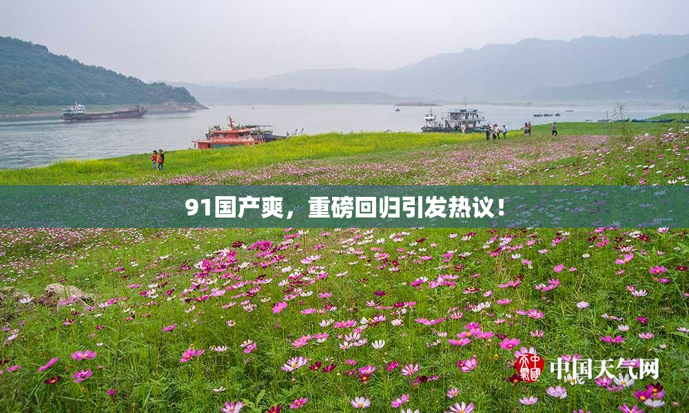 91国产爽，重磅回归引发热议！