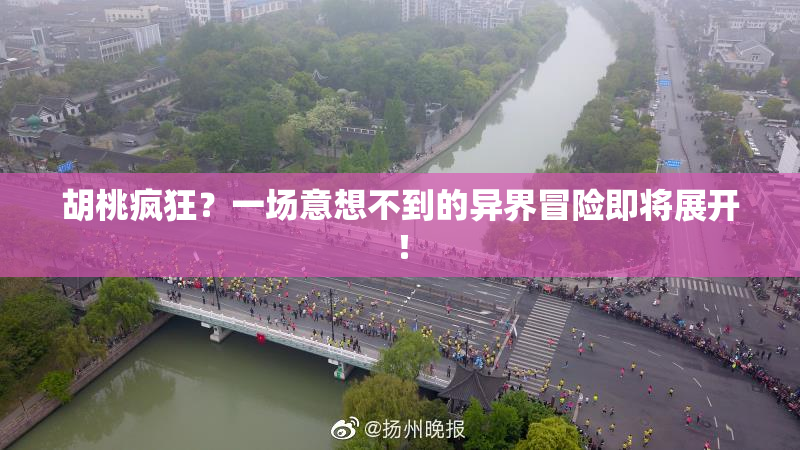 胡桃疯狂？一场意想不到的异界冒险即将展开！