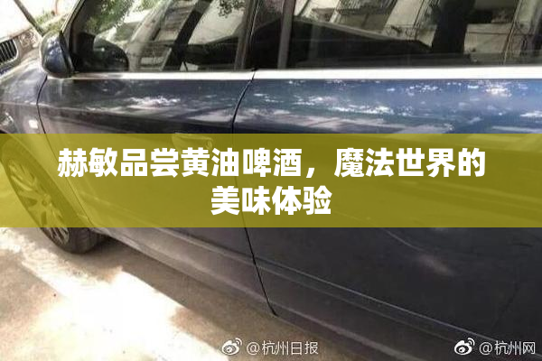 赫敏品尝黄油啤酒，魔法世界的美味体验