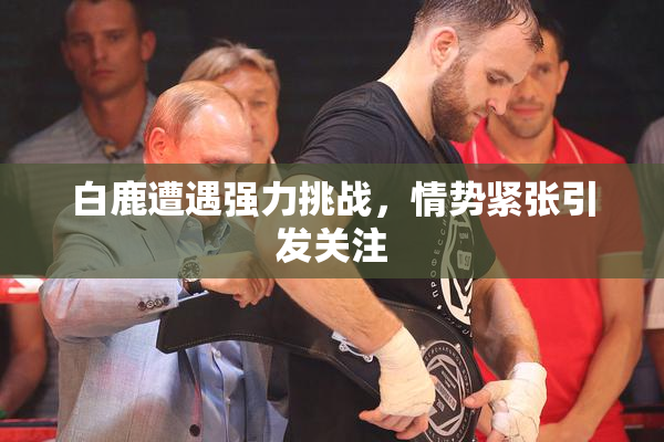 白鹿遭遇强力挑战，情势紧张引发关注
