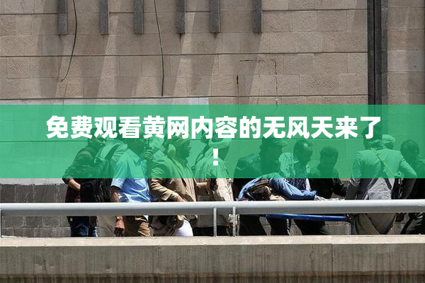 免费观看黄网内容的无风天来了！