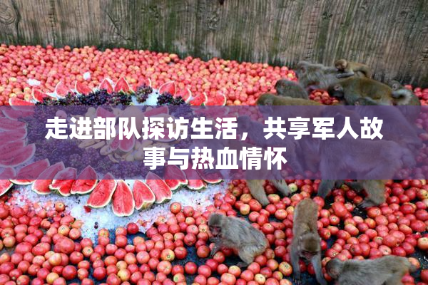 走进部队探访生活，共享军人故事与热血情怀