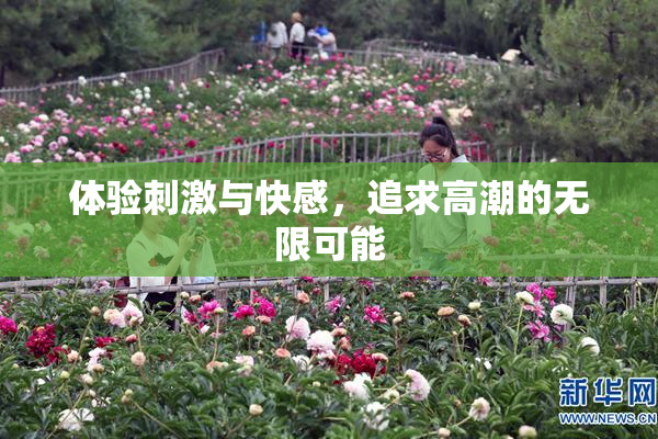 体验刺激与快感，追求高潮的无限可能