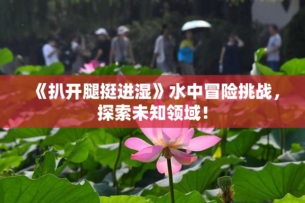 《扒开腿挺进湿》水中冒险挑战，探索未知领域！
