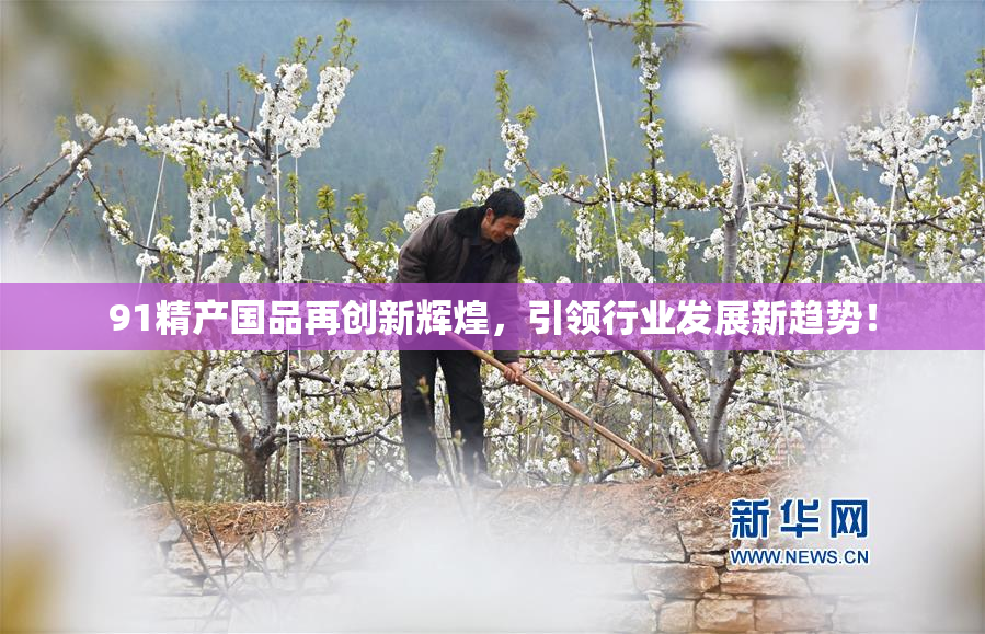 91精产国品再创新辉煌，引领行业发展新趋势！