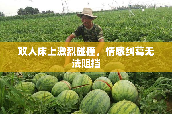 双人床上激烈碰撞，情感纠葛无法阻挡