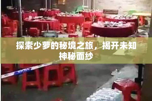 探索少萝的秘境之旅，揭开未知神秘面纱