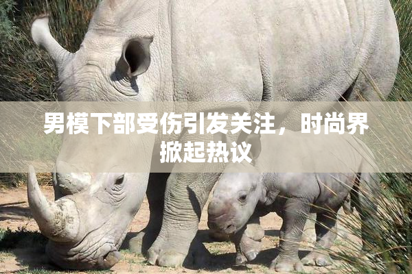 男模下部受伤引发关注，时尚界掀起热议