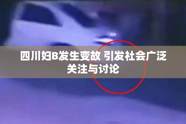 四川妇B发生变故 引发社会广泛关注与讨论