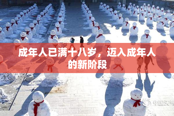 成年人已满十八岁，迈入成年人的新阶段