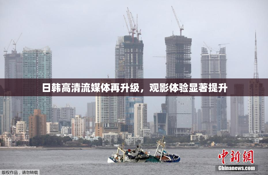 日韩高清流媒体再升级，观影体验显著提升