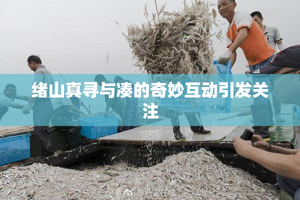 绪山真寻与凑的奇妙互动引发关注