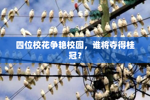 四位校花争艳校园，谁将夺得桂冠？
