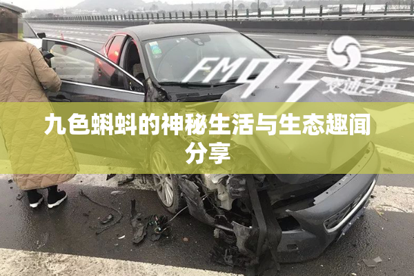 九色蝌蚪的神秘生活与生态趣闻分享