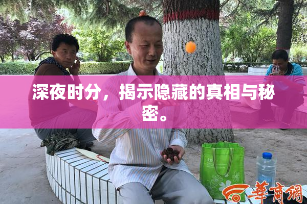 深夜时分，揭示隐藏的真相与秘密。