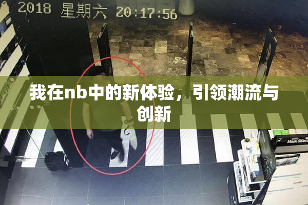 我在nb中的新体验，引领潮流与创新
