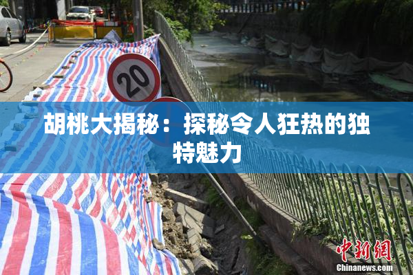 胡桃大揭秘：探秘令人狂热的独特魅力