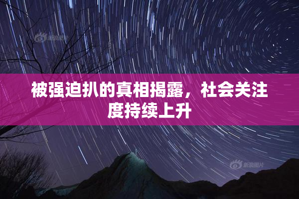 被强迫扒的真相揭露，社会关注度持续上升