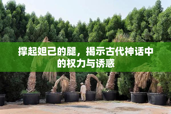 撑起妲己的腿，揭示古代神话中的权力与诱惑