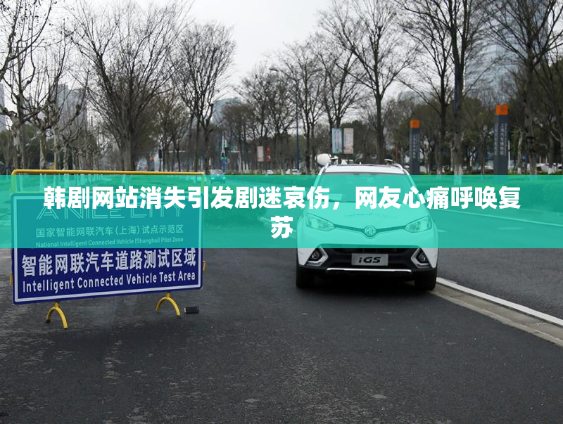 韩剧网站消失引发剧迷哀伤，网友心痛呼唤复苏