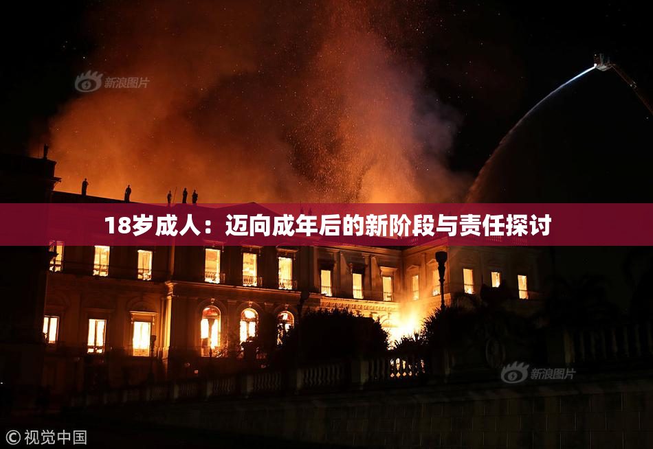18岁成人：迈向成年后的新阶段与责任探讨