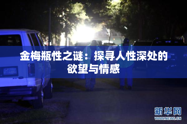 金梅瓶性之谜：探寻人性深处的欲望与情感