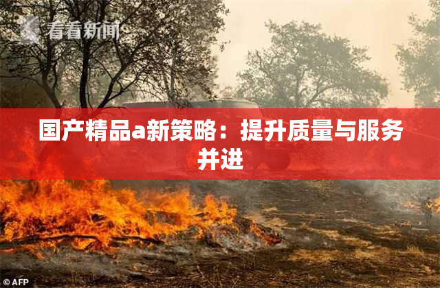 国产精品a新策略：提升质量与服务并进