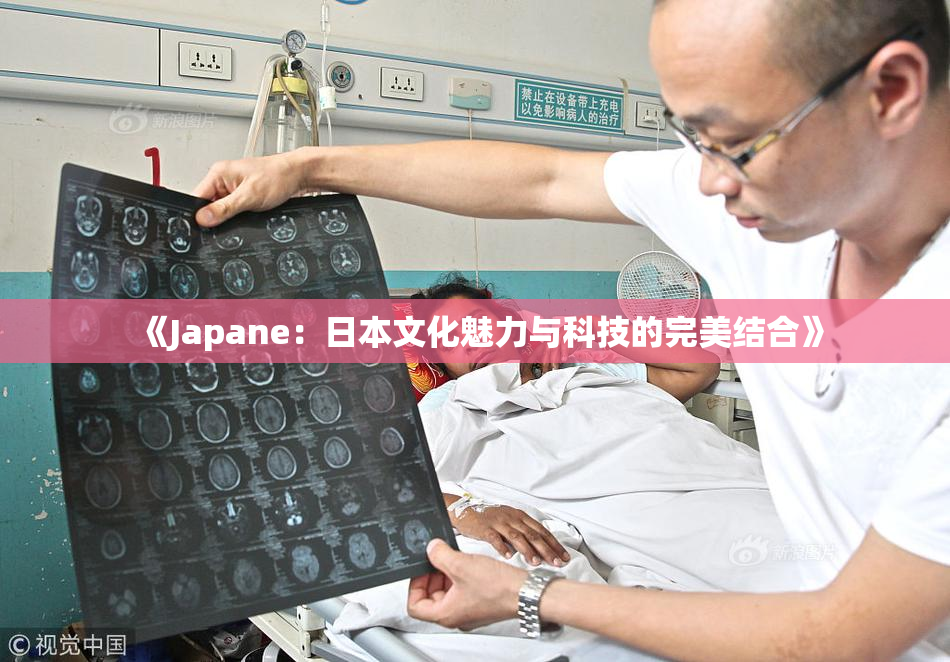 《Japane：日本文化魅力与科技的完美结合》