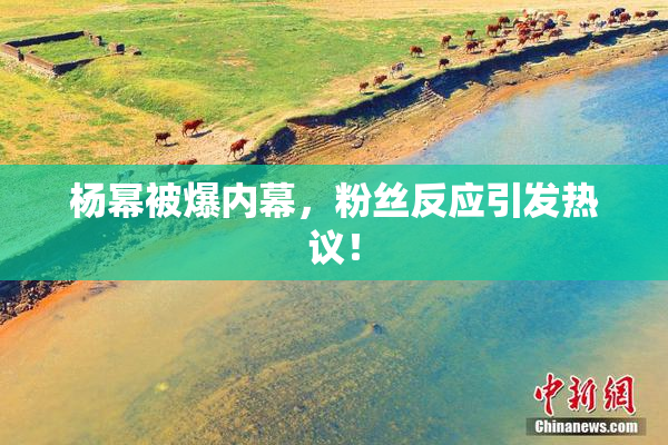 杨幂被爆内幕，粉丝反应引发热议！