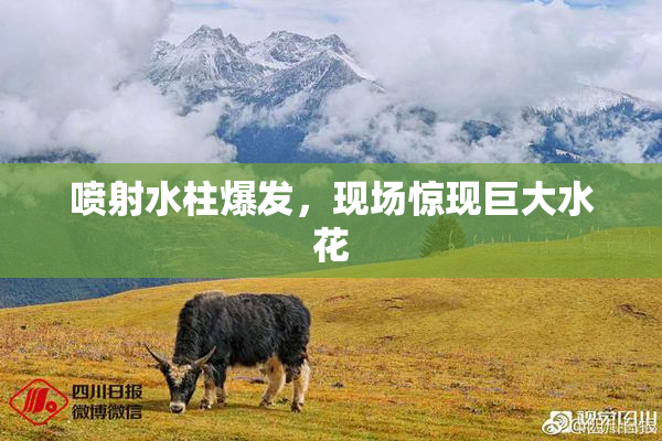 喷射水柱爆发，现场惊现巨大水花
