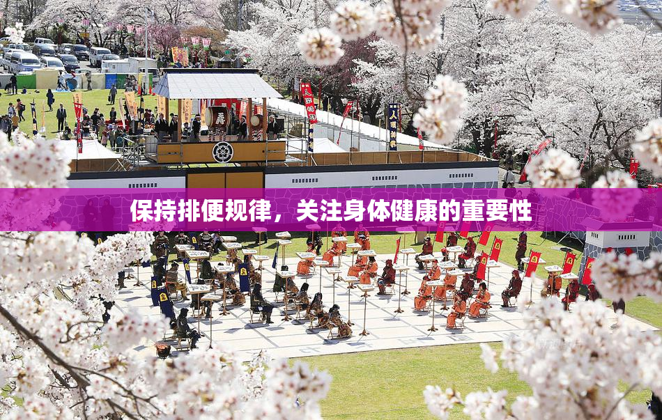 保持排便规律，关注身体健康的重要性