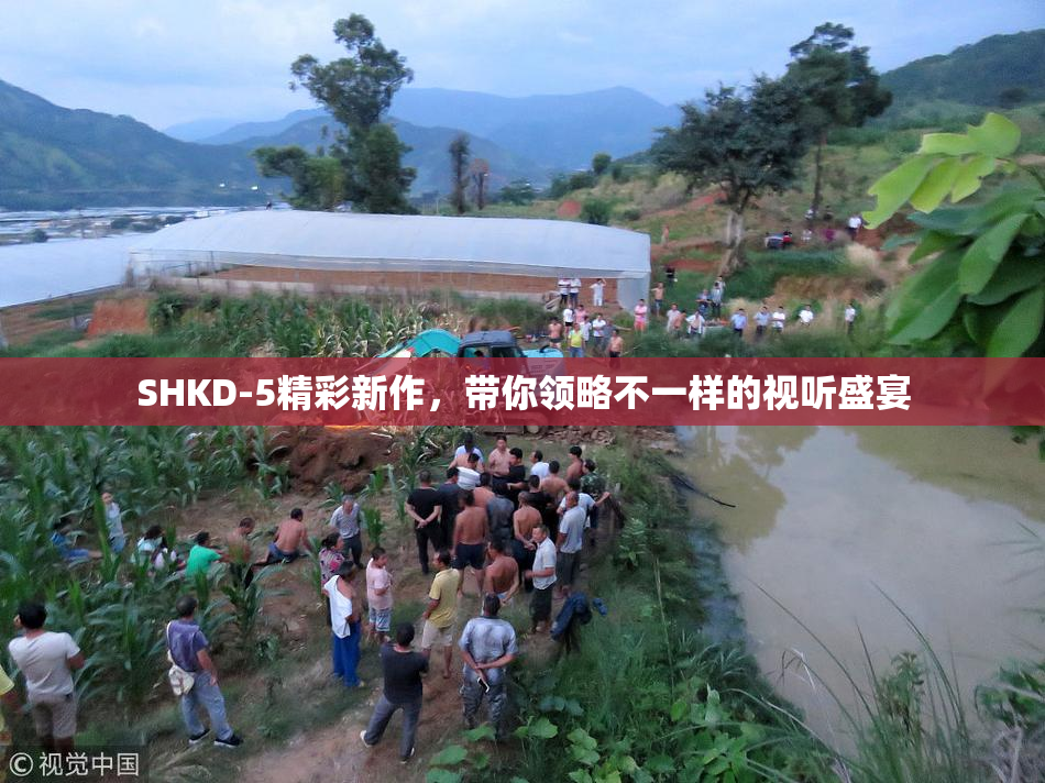 SHKD-5精彩新作，带你领略不一样的视听盛宴