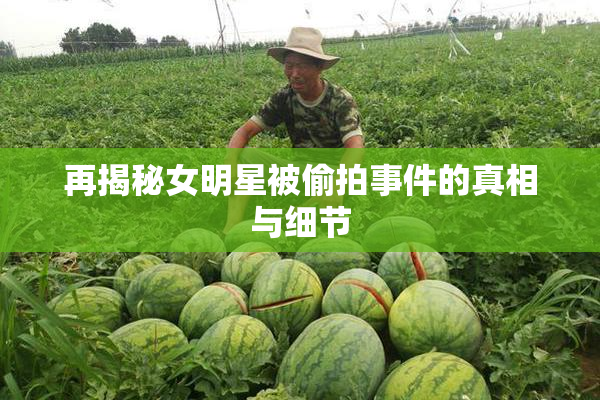 再揭秘女明星被偷拍事件的真相与细节