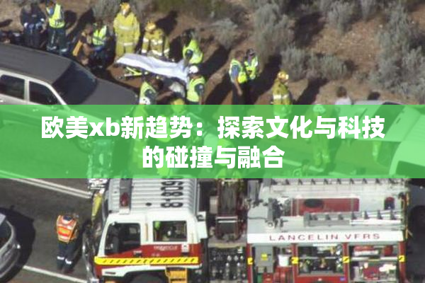 欧美xb新趋势：探索文化与科技的碰撞与融合