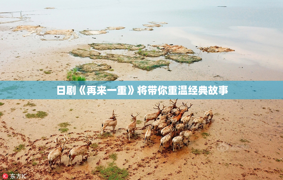 日剧《再来一重》将带你重温经典故事